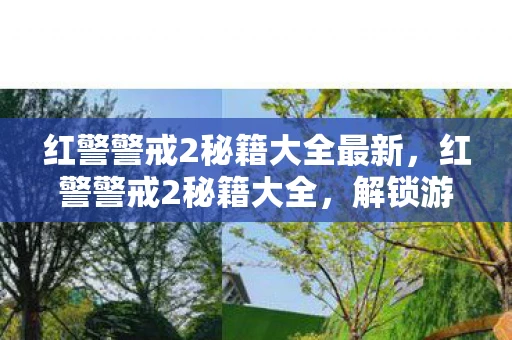 红警警戒2秘籍大全最新，红警警戒2秘籍大全，解锁游戏隐藏功能，提升你的战斗技巧
