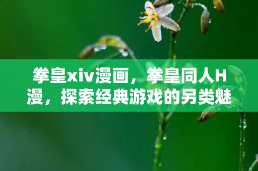 拳皇xiv漫画，拳皇同人H漫，探索经典游戏的另类魅力