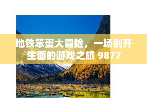 一场别开生面的游戏之旅 9877图片
