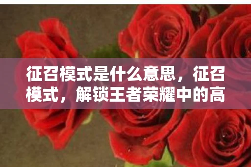 征召模式是什么意思，征召模式，解锁王者荣耀中的高端玩法