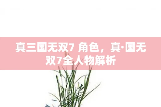 真三国无双7 角色，真·国无双7全人物解析