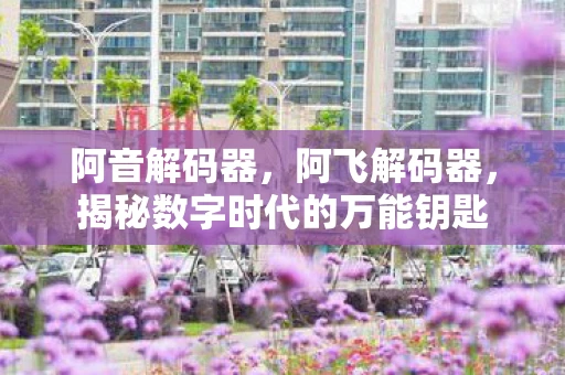 阿音解码器，阿飞解码器，揭秘数字时代的万能钥匙
