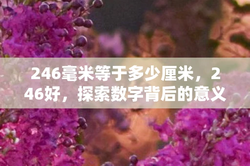 246毫米等于多少厘米，246好，探索数字背后的意义与启示