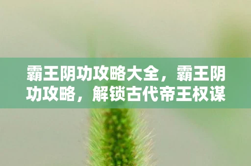 霸王阴功攻略大全，霸王阴功攻略，解锁古代帝王权谋之术