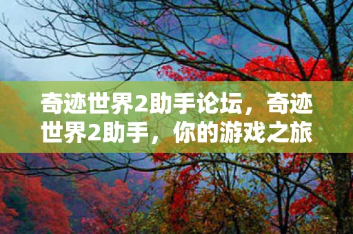 奇迹世界2助手论坛，奇迹世界2助手，你的游戏之旅最佳伴侣