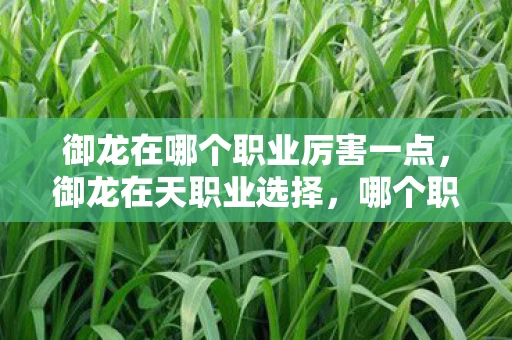 御龙在哪个职业厉害一点，御龙在天职业选择，哪个职业最厉害？