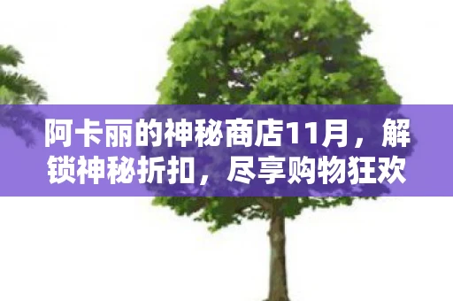 阿卡丽的神秘商店11月，解锁神秘折扣，尽享购物狂欢！