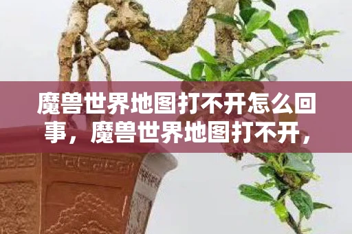 魔兽世界地图打不开怎么回事，魔兽世界地图打不开，原因与解决方案