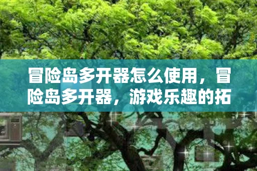 冒险岛多开器怎么使用，冒险岛多开器，游戏乐趣的拓展还是违规行为的边缘？