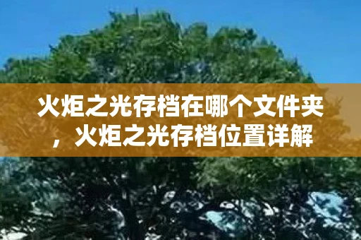 火炬之光存档在哪个文件夹，火炬之光存档位置详解