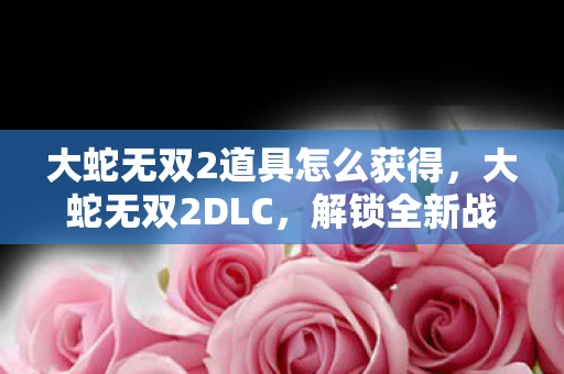 大蛇无双2道具怎么获得，大蛇无双2DLC，解锁全新战斗体验