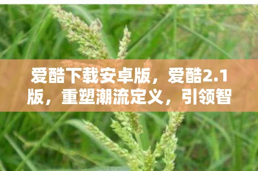 爱酷下载安卓版，爱酷2.1版，重塑潮流定义，引领智能穿戴新风尚