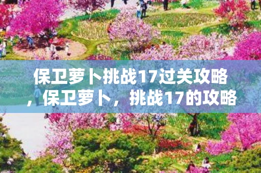 保卫萝卜挑战17过关攻略，保卫萝卜，挑战17的攻略与心得