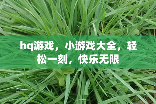 hq游戏，小游戏大全，轻松一刻，快乐无限