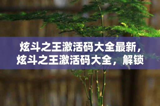炫斗之王激活码大全最新，炫斗之王激活码大全，解锁无限可能的战斗之旅
