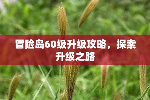 冒险岛60级升级攻略图片