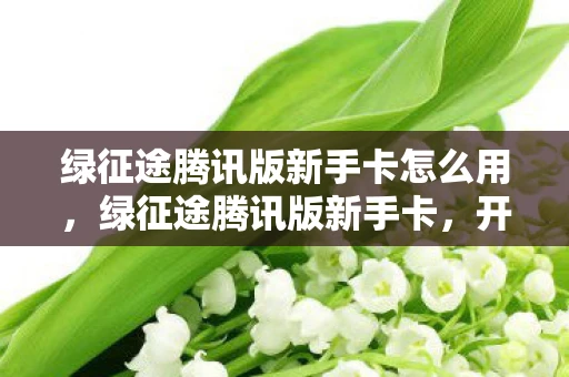 绿征途腾讯版新手卡怎么用，绿征途腾讯版新手卡，开启你的冒险之旅
