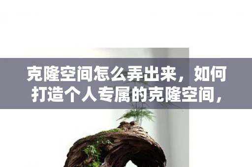 克隆空间怎么弄出来，如何打造个人专属的克隆空间，从零开始构建虚拟世界