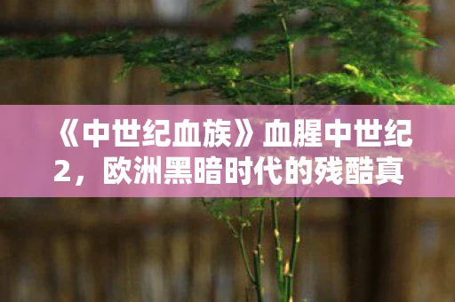 《中世纪血族》血腥中世纪2，欧洲黑暗时代的残酷真相