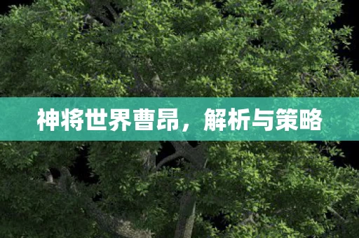 神将世界曹昂图片