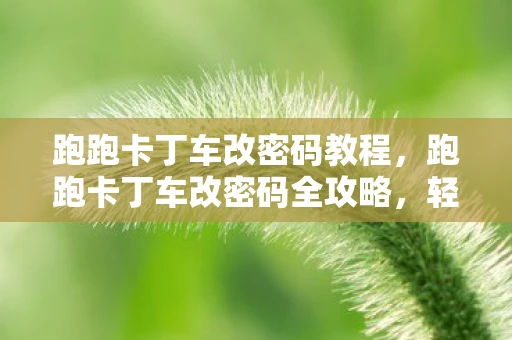跑跑卡丁车改密码教程，跑跑卡丁车改密码全攻略，轻松几步，保护你的账号安全