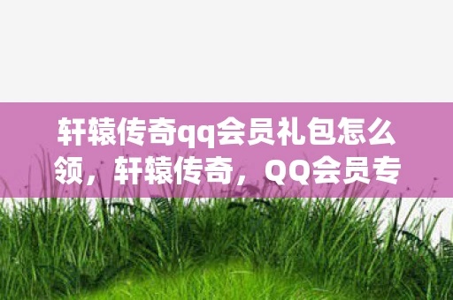 轩辕传奇qq会员礼包怎么领，轩辕传奇，QQ会员专属礼包大揭秘