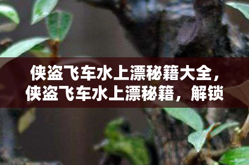 侠盗飞车水上漂秘籍大全，侠盗飞车水上漂秘籍，解锁飞车特技的终极指南