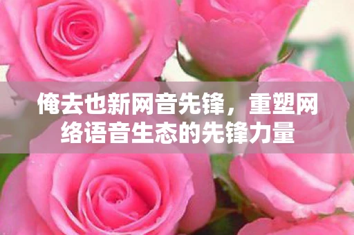 俺去也新网音先锋，重塑网络语音生态的先锋力量