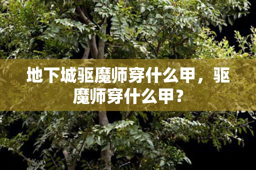 地下城驱魔师穿什么甲，驱魔师穿什么甲？