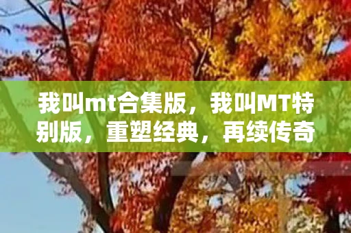 我叫mt合集版，我叫MT特别版，重塑经典，再续传奇