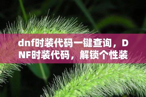 dnf时装代码一键查询，DNF时装代码，解锁个性装扮的秘籍