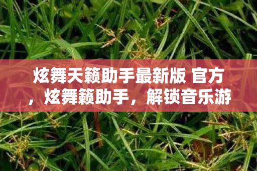 炫舞天籁助手最新版 官方，炫舞籁助手，解锁音乐游戏新境界