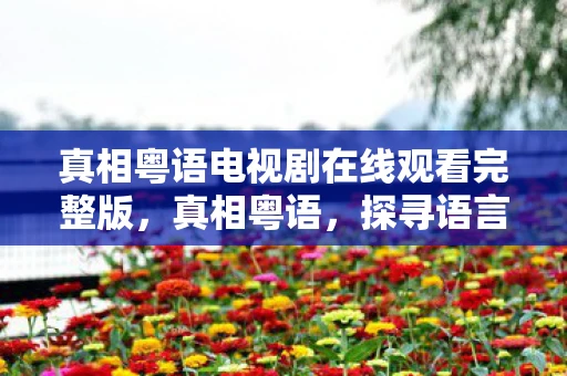 真相粤语电视剧在线观看完整版，真相粤语，探寻语言背后的文化密码
