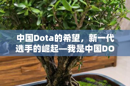 我是中国DOTA的希望图片
