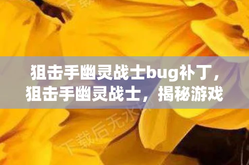 狙击手幽灵战士bug补丁，狙击手幽灵战士，揭秘游戏BUG与解决之道