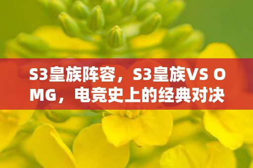 S3皇族阵容，S3皇族VS OMG，电竞史上的经典对决