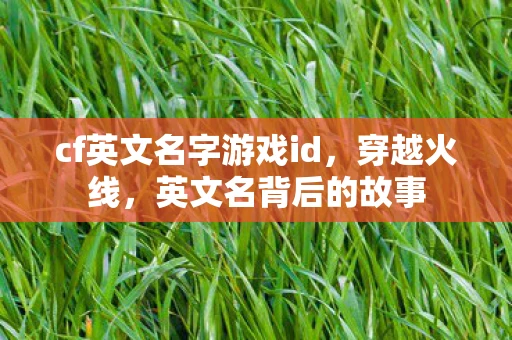 cf英文名字游戏id，穿越火线，英文名背后的故事