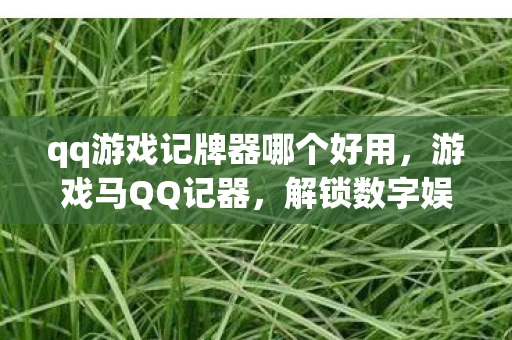 qq游戏记牌器哪个好用，游戏马QQ记器，解锁数字娱乐新体验