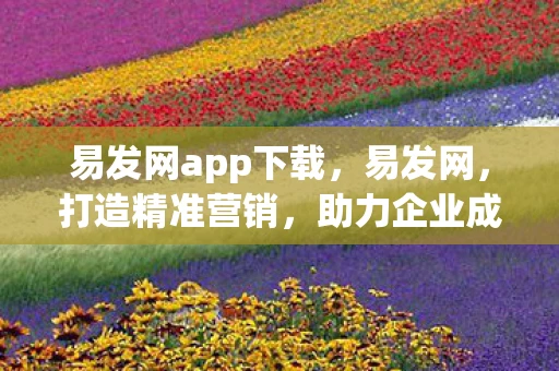 易发网app下载，易发网，打造精准营销，助力企业成长