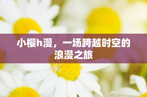 小樱h漫，一场跨越时空的浪漫之旅