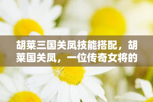 胡莱三国关凤技能搭配，胡莱国关凤，一位传奇女将的辉煌与传奇