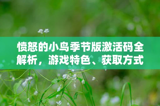 愤怒的小鸟季节版激活码全解析图片