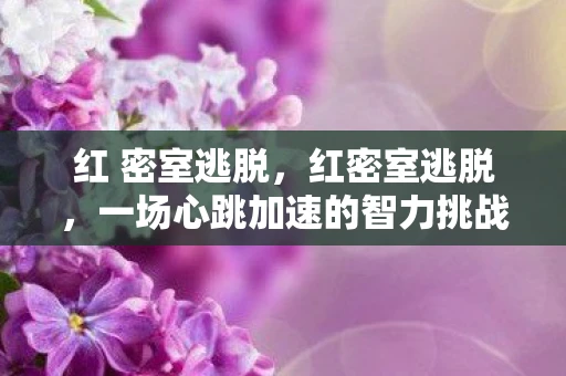 红 密室逃脱，红密室逃脱，一场心跳加速的智力挑战