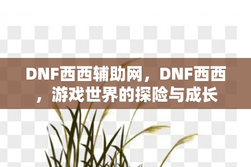 DNF西西辅助网，DNF西西，游戏世界的探险与成长
