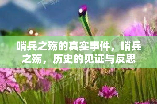 哨兵之殇的真实事件，哨兵之殇，历史的见证与反思