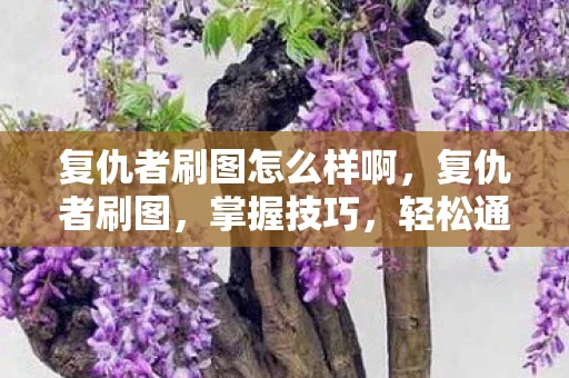 复仇者刷图怎么样啊，复仇者刷图，掌握技巧，轻松通关