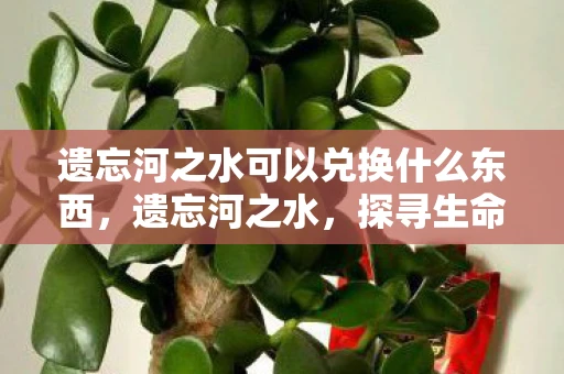 遗忘河之水可以兑换什么东西，遗忘河之水，探寻生命与记忆的奥秘
