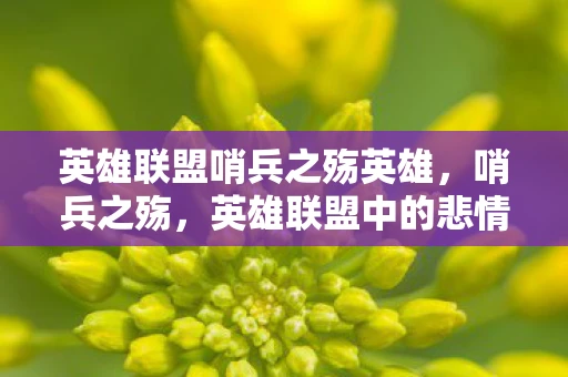 英雄联盟哨兵之殇英雄，哨兵之殇，英雄联盟中的悲情英雄