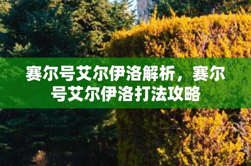 赛尔号艾尔伊洛解析，赛尔号艾尔伊洛打法攻略