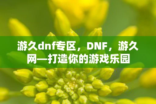 游久dnf专区，DNF，游久网—打造你的游戏乐园